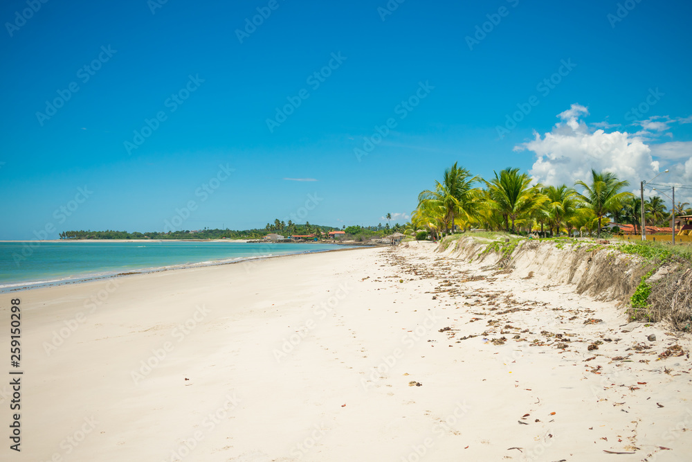 Turquoise sea and coconut trees - a view of Sossego Beach (Iha de Itamaraca, Brazil)