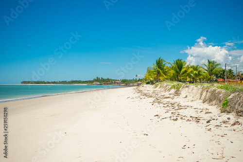 Turquoise sea and coconut trees - a view of Sossego Beach  Iha de Itamaraca  Brazil 