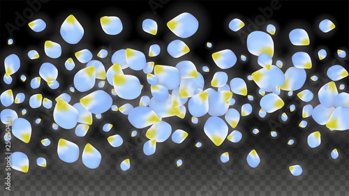 Vector Realistic Blue Petals Falling on Transparent Background.  Spring Romantic Flowers Illustration. Flying Petals. Sakura Spa Design. Blossom Confetti.