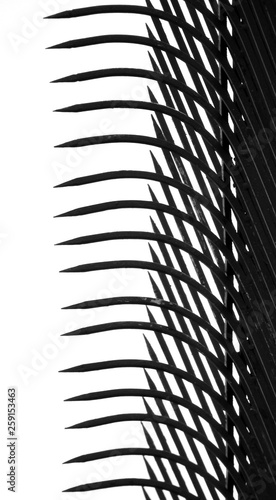 Wallpaper Mural silhouette arrow sharp spike fence on white background Torontodigital.ca