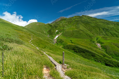 Wallpaper Mural 夏の鳥海山 Torontodigital.ca