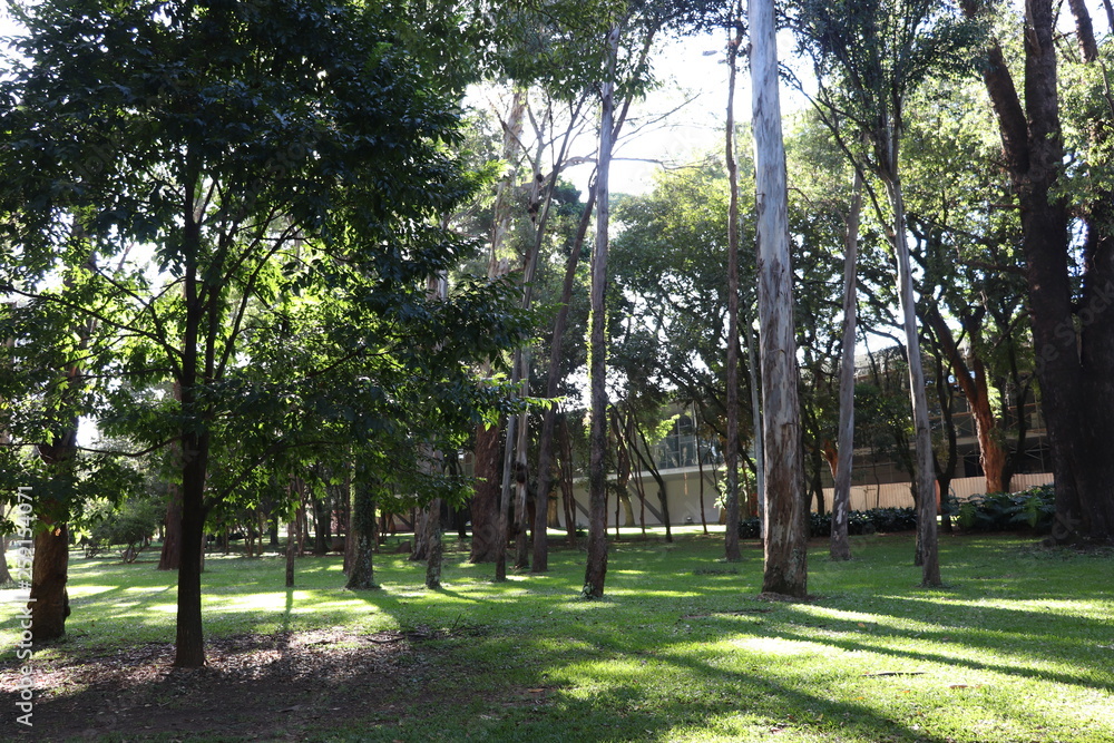 Obraz premium Ibirapuera's Park - 50