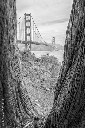 Goden Gate Bridge San Francisco