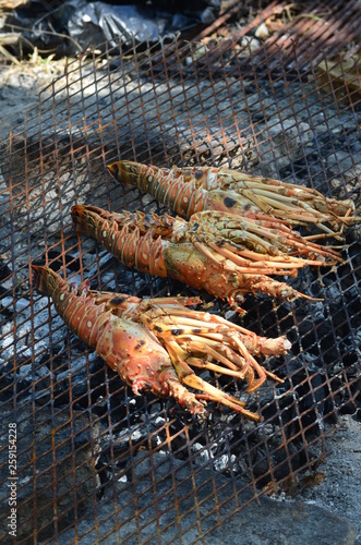 Grilled Lobster on a Rustic BBQ on the Beach
