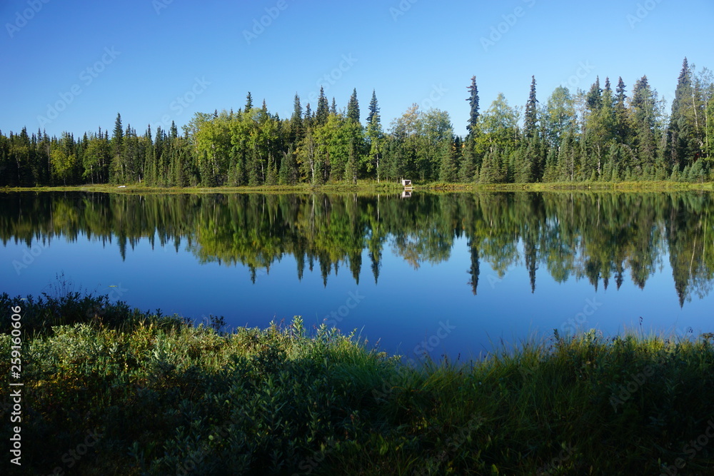 Beautiful wild landscape in  Alaska reflecting in calm lake