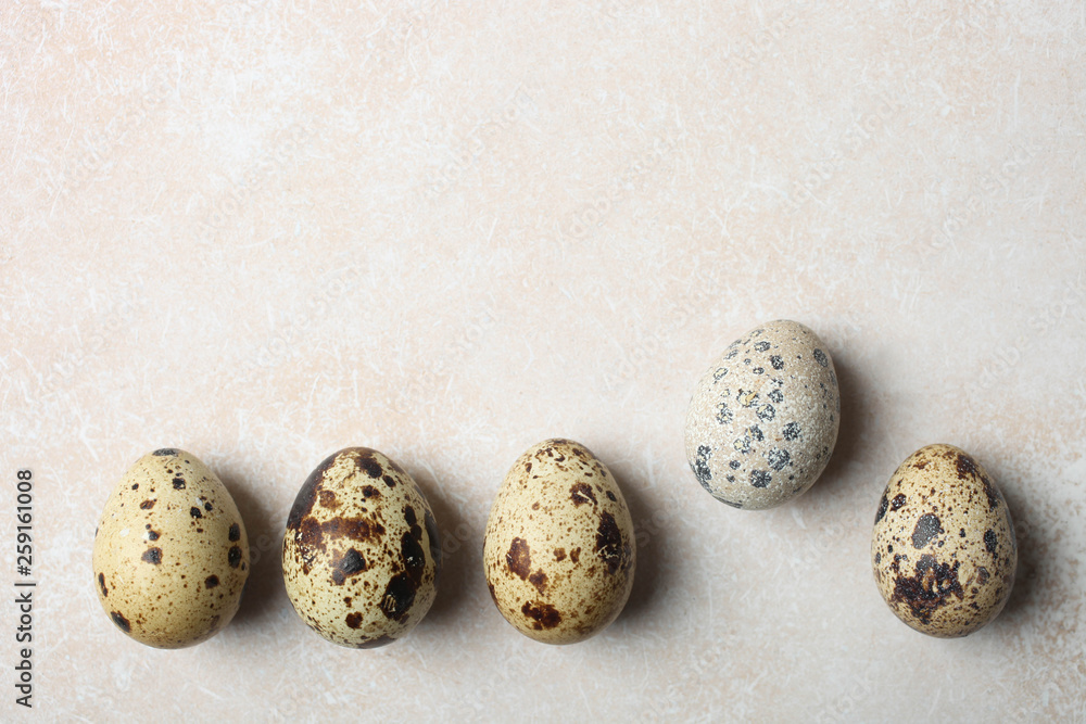 Obraz premium Many natural quail eggs