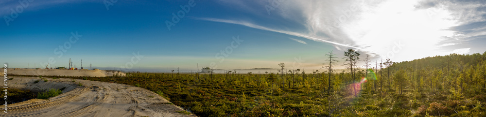 sand road in the swamp in the morning fog at dawn panorama