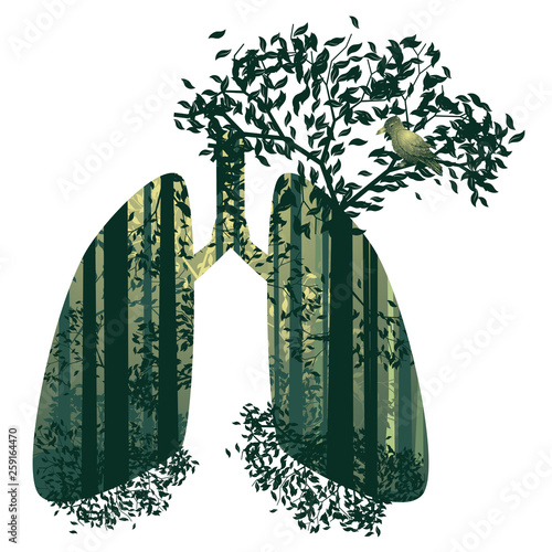 Lungs with forest inside