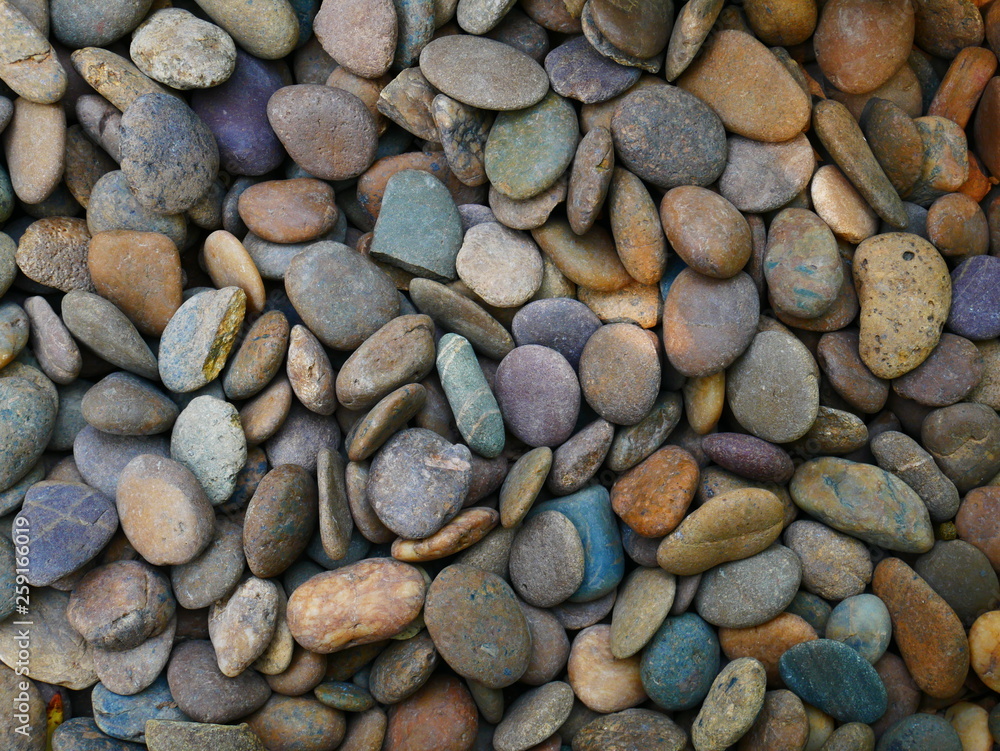 pebbles on the beach stone background pebbles on the beach stone background