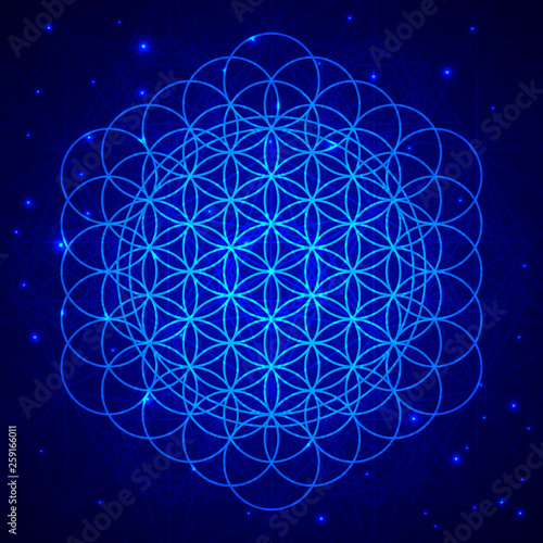 Flower Of Life Development. Vector illustration