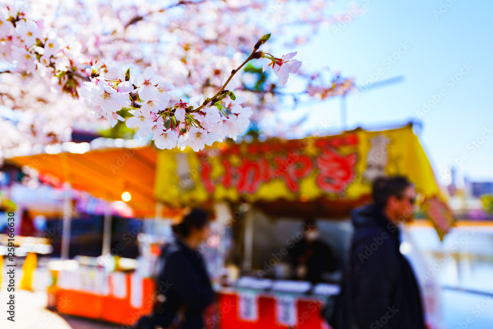 Spring Festival in Tokyo Japan (No.8972)