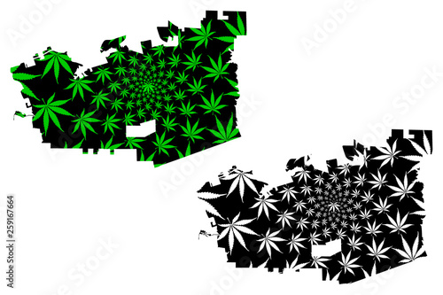 Chula Vista city (United States of America, USA, U.S., US, United States cities, usa city)- map is designed cannabis leaf green, City of Chula Vista map made of marijuana (marihuana,THC) foliage, photo