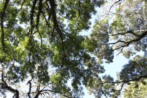 Ibirapuera's Park - 117