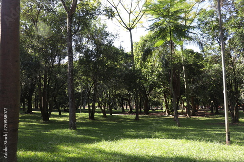 Ibirapuera's Park - 107