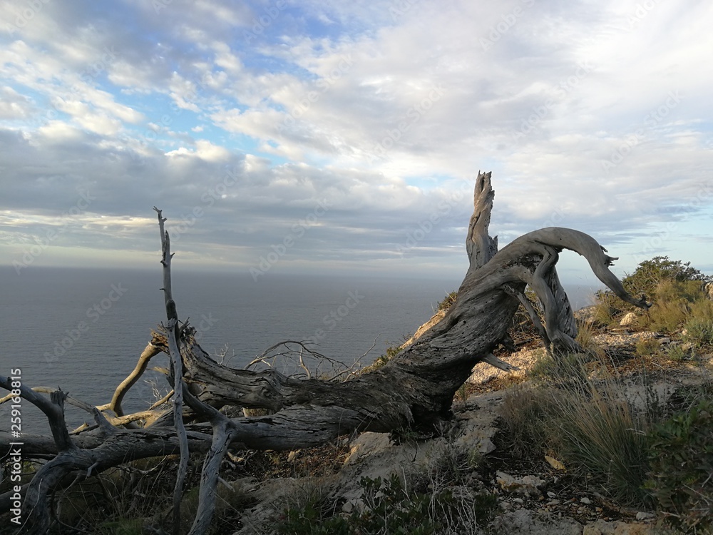 Vistas  del mar y el cielo desde una colina en Mallorca