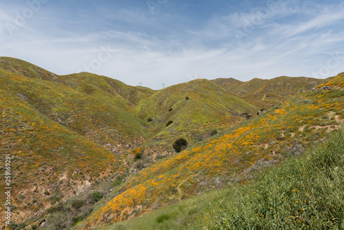 Beautiful superbloom vista in a mountain range near Lake Elsinore, Southern California