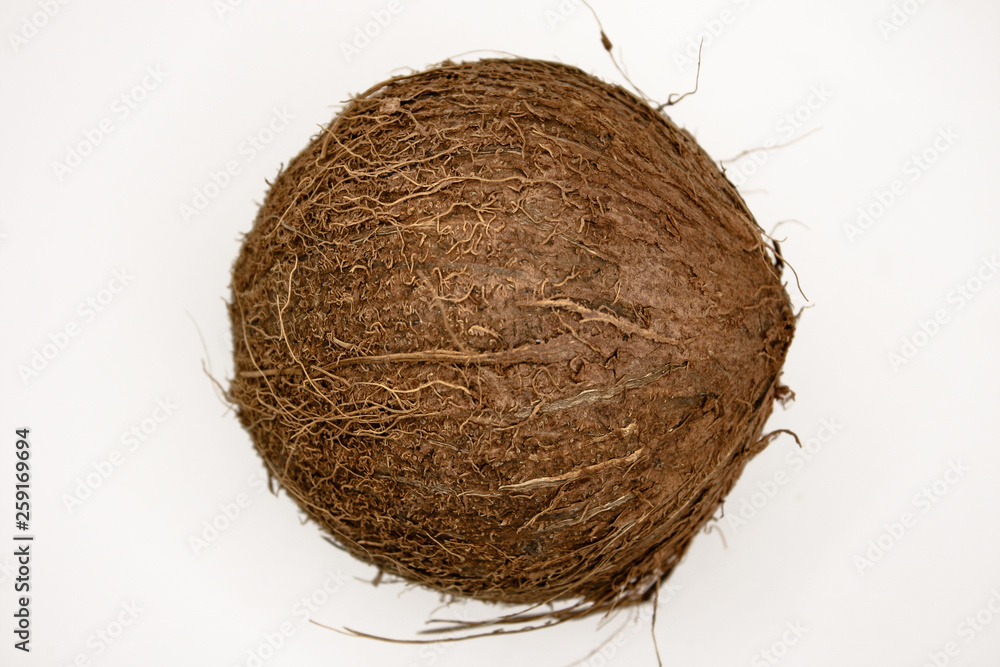 Cocco. Cocco.