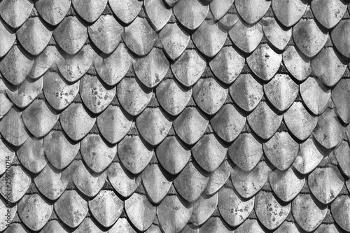 Stell armour seamless element made of the steel plates. Knight protection suite photo