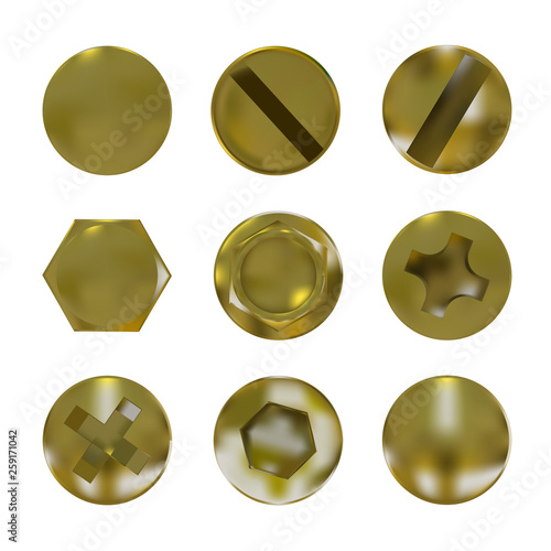 A set of metal golden screws and bolt vector