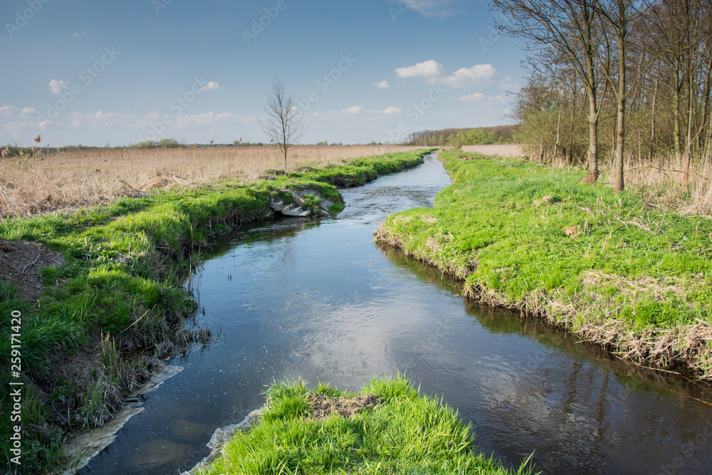 Small river flowing in eastern Poland Small river flowing in eastern Poland