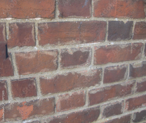 Red brick on the wall in the summer.