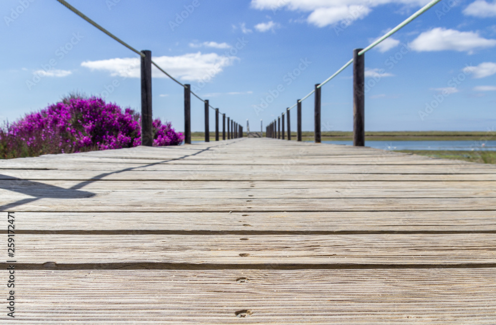 Fototapeta premium Views near Tavira in Algarve (Portugal)