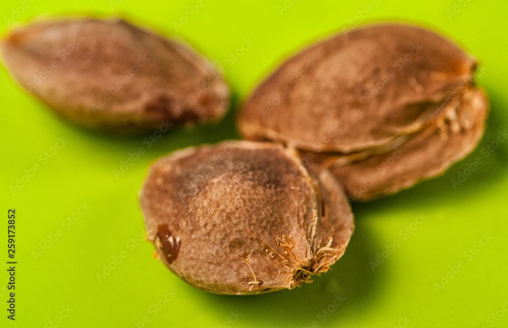 apricots bones close-up on a green background macro apricots bones close-up on a green background macro