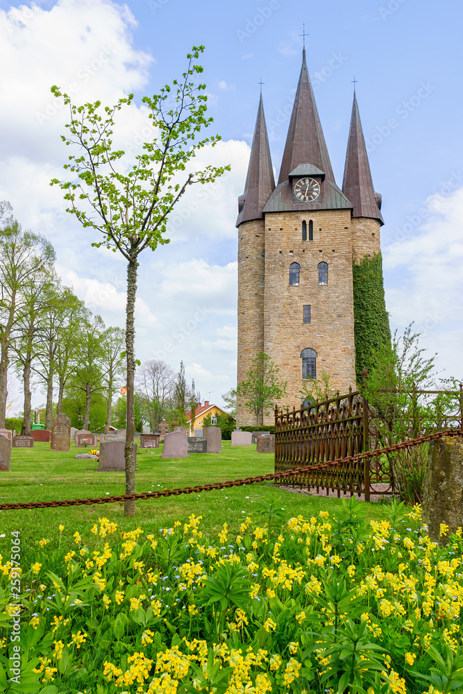 Husaby Church and flowering cowslip flower Husaby Church and flowering cowslip flower