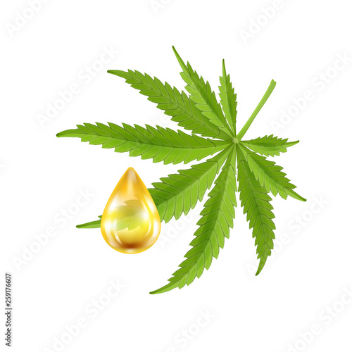 Realistic drop of oil with hemp leaf. Vector illustration.