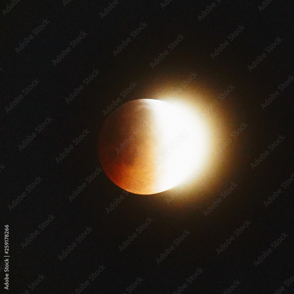 Obraz premium Mondfinsternis1