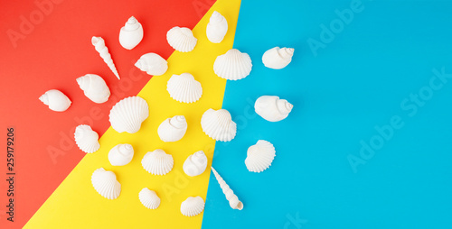 Colorful background with white seashells, top view