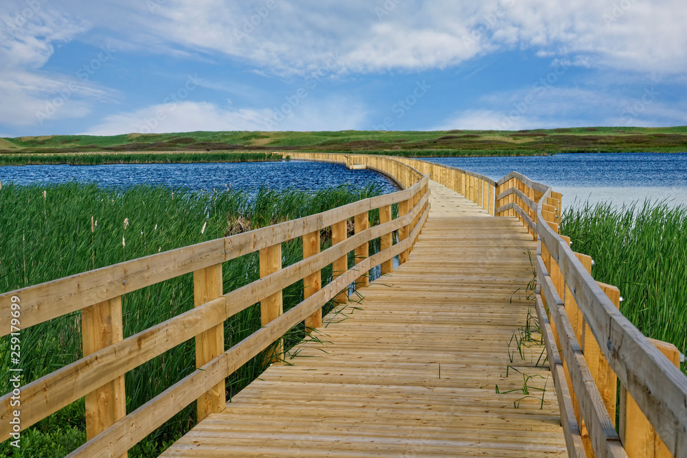 Boardwalk, part of the trail, across wetlands at Greenwich, Prince Edward Island National Park, PEI, Canada