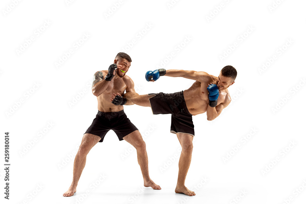 Obraz premium Two professional boxers boxing isolated on white studio background