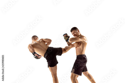 Two professional boxers boxing isolated on white studio background