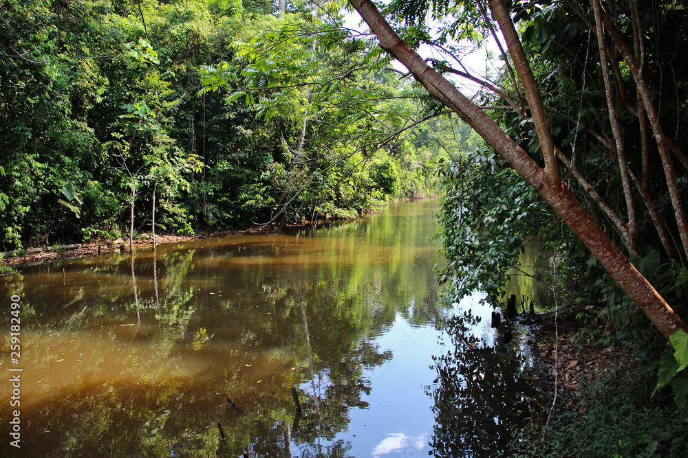 Amazonia Amazonia