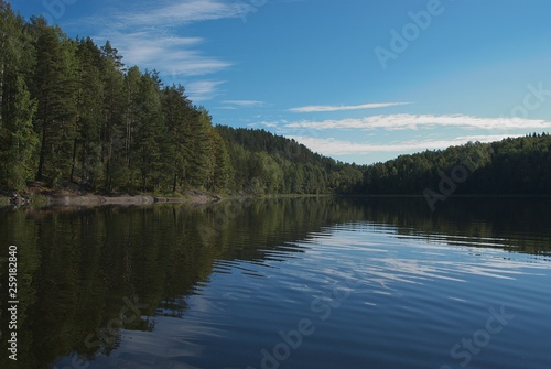Fototapeta Naklejka Na Ścianę i Meble -  landscape with lake and forest