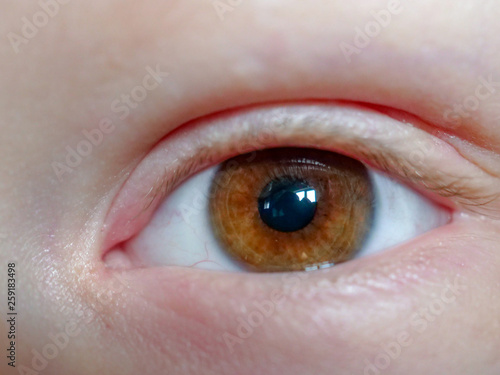 Macro shot of eye, brown, human eye closeup, macro shot, eyelashes, pupil. 10 year old boy child