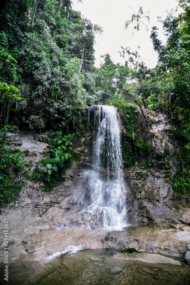 Fototapeta premium Waterfall in Puerto Rico 