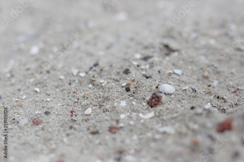 steine im sand