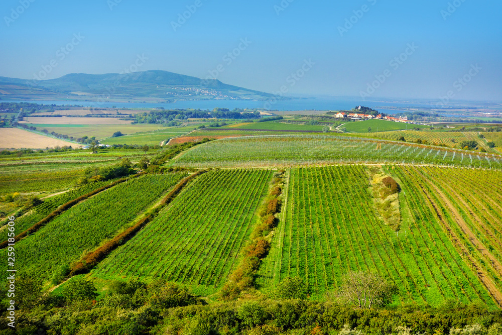Typical landscape of the southern Moravia region of the Czech republic with vineyards in the front, artificial lake and protected areas of the Pavlov hills (Pálava) in the background.