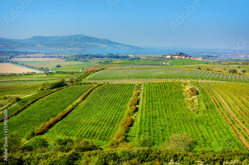 Typical landscape of the southern Moravia region of the Czech republic with vineyards in the front  artificial lake and protected areas of the Pavlov hills  P  lava  in the background.