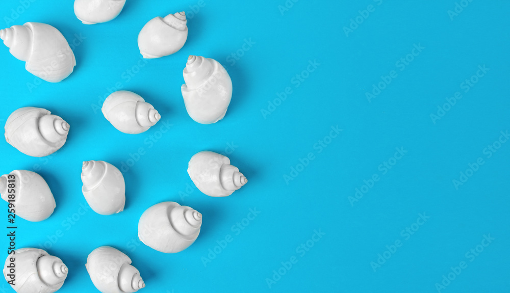 White winkle shells on bright blue background with empty space