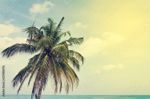 Tropical sea landscape with palm