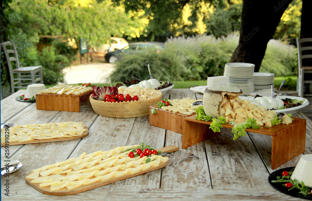 Cheese table in the summer garden on a wooden table