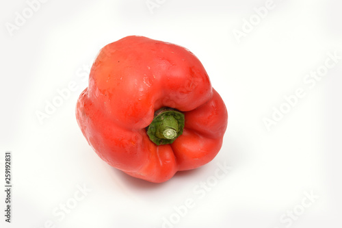 vegetable red pepper to prepare meal boxes