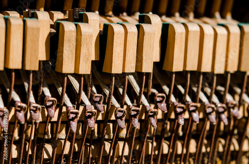 Old wooden piano keys under the rays of the Sun
