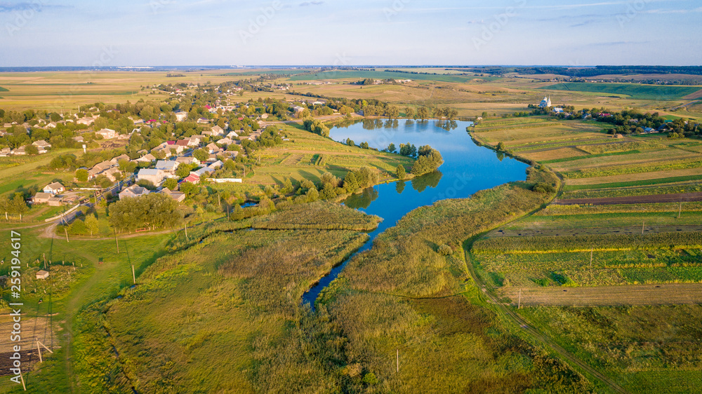 Forest background. Drone point of view