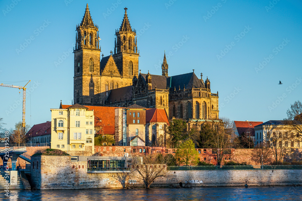 Fototapeta premium Magdeburg an der Elbe in Sachsen-Anhalt