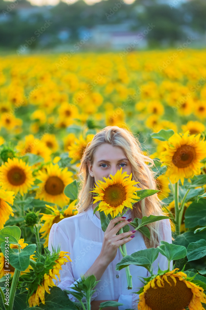 Beautiful young woman with long blonde hair is covered her face to sunflower Beautiful young woman with long blonde hair is covered her face to sunflower