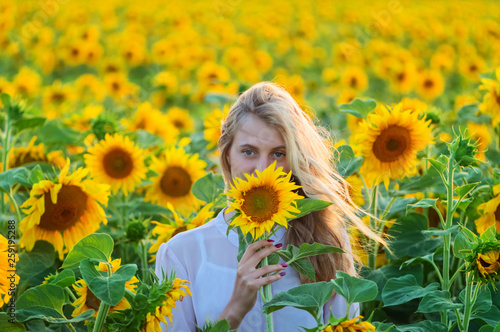 Beautiful young woman with long blonde hair is covered her face to sunflower